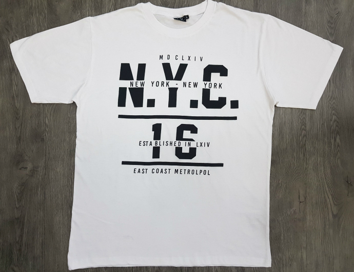 BASIC Mens T-Shirt (WHITE) (L)