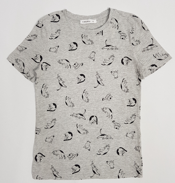 TERRANOVA Ladies T-Shirt (GRAY) (XS - S - M - L - XL)