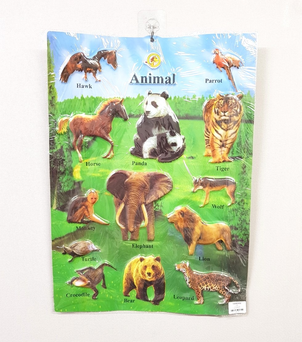 Animal Poster - Educational Learning Poster