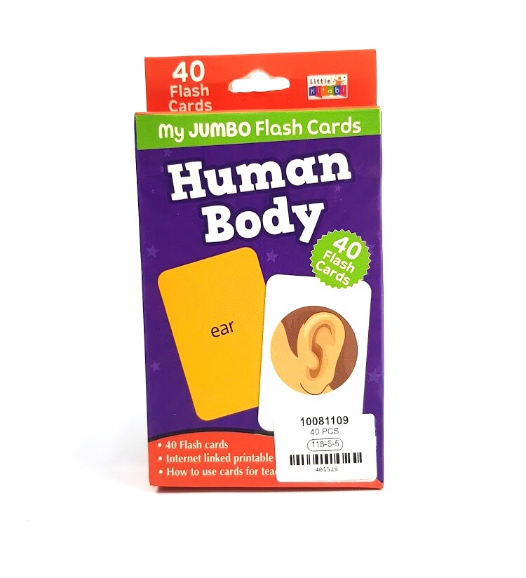 40 Pcs Pack Human Body