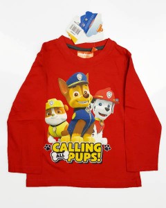 Boys long Sleeved Top (3 to 5 Years )