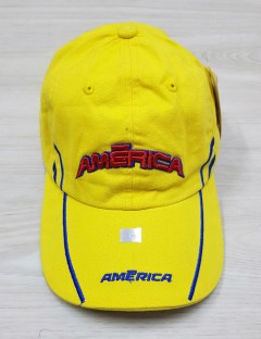 TIC AMERICA Mens Cap (TIC) (Free Size)