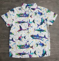 Boys Shirt (MULTI COLOR) (FM) (3 to 12 Years)
