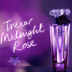 Midnight rose Perfume(MA)