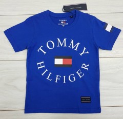 TOMMY HILFIGER Boys T-Shirt (BLUE) (2 to 14 Years)