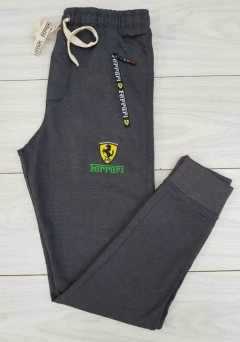 FERRARI Mens Pants (DARK GRAY) (30 to 36)