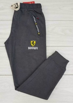 FERRARI Mens Pants (DARK GRAY) (30 to 36)