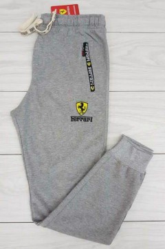 FERRARI Mens Pants (GRAY) (34 to 36)