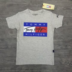 TOMMY HILFIGER Boys T-Shirt (GRAY) (2 to 16 Years)