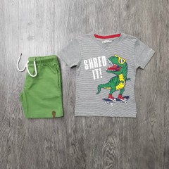 PEBBLES Boys 2 Pcs T-Shirt & Shorty Set ( GRAY - GREEN) ( 2 to 8 Years)