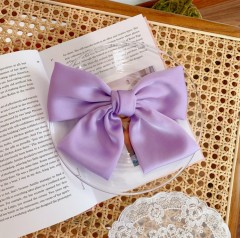 Hair Accessories (PURPLE) (ONE SIZE)