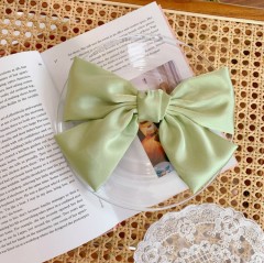 Hair Accessories (LIGHT GREEN) (ONE SIZE)