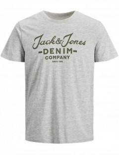 JACK AND JONES Boys T-Shirt (GRAY) (8 To 12 Years)