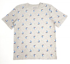 SIMPLY STYLED Boys T-shirt (GRAY) (5 to 16 Years)