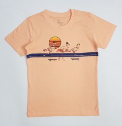 ALL BASICS Boys T-Shirt  (LIGHT ORANGE) ( 4 to 10 Years)