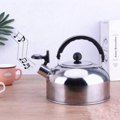 Stainless Whistle Kettle to Boil Water (0.5L)