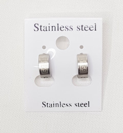 Stainless steel Earrings