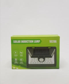 Solar induction Lamp