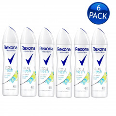 6 Pcs Bundle Rexona stay fresh dry spray for women 150ml (Cargo)