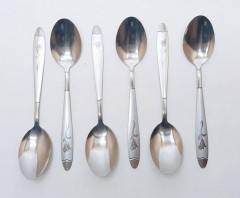 6 Pcs Stainless Steel Spoon Set